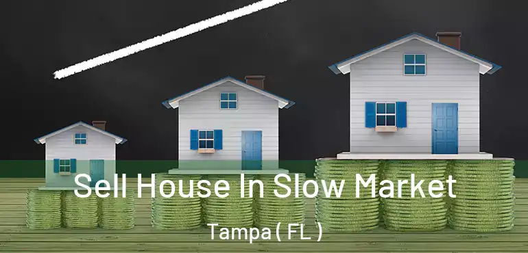  Sell House In Slow Market Tampa ( FL )